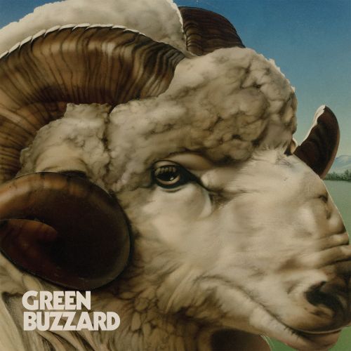 Zoo Fly/Slow It Down 7" Vinyl by Green Buzzard