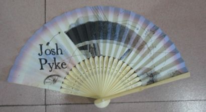 Fan Australian Tour 2011 by Josh Pyke