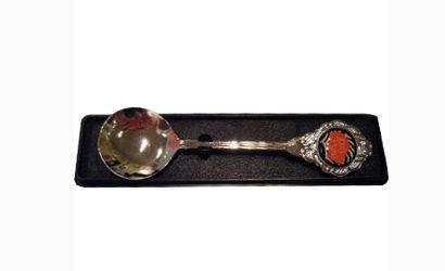 Teaspoon by Josh Pyke