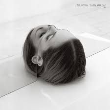 TROUBLE WILL FIND ME 2LP by The National