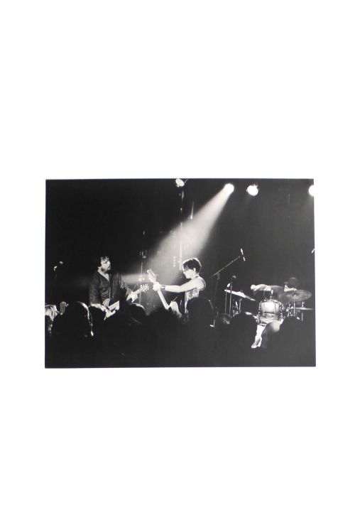 Stage Photo B & W by Baby Animals